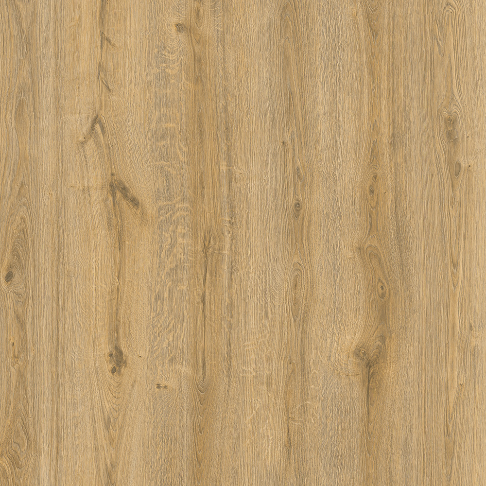 AKASYA 8 mm | 31. Sınıf | AC3